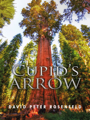 cover image of Cupid's Arrow